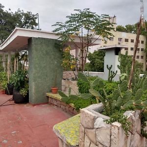 Habitaciones Con Bano Compartido En Departamento Mid Century Modern